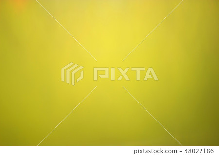 Beautiful blurred green background leafs of trees 38022186