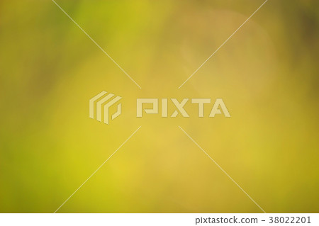 Beautiful blurred green background leafs of trees Beautiful blurred green background leafs of trees 38022201
