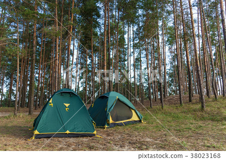 Tents in a coniferous forest. Tents in a coniferous forest. 38023168