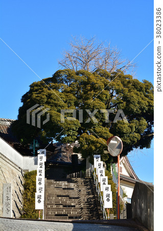 橫濱·Honka-ji 38023386