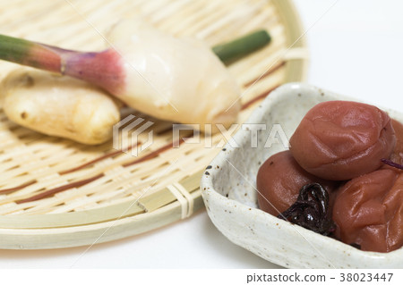 新鮮種植的李子梅 新鮮種植的李子梅 38023447