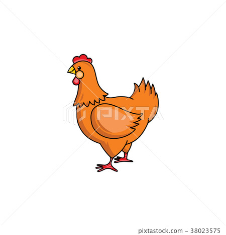 Side-view portrait of brown hen, chicken 38023575