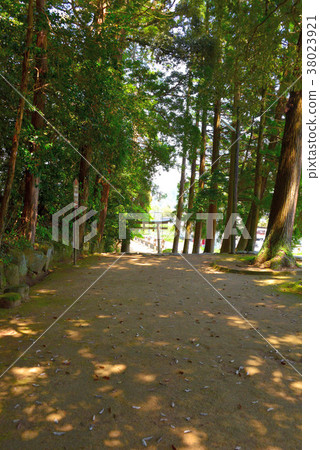 Shinto shrine Shinto shrine 38023921
