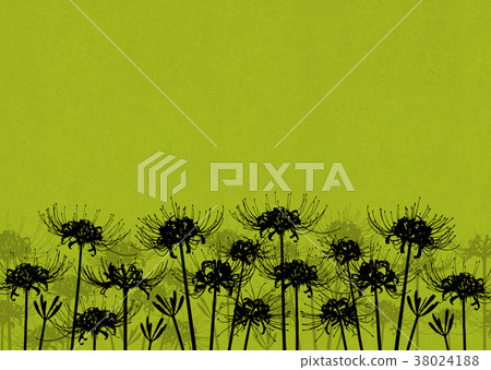 Background material _ cluster amaryllis (green) Background material _ cluster amaryllis (green) 38024188