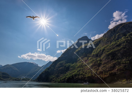 Norway with fjord near the Flam during spring 38025872