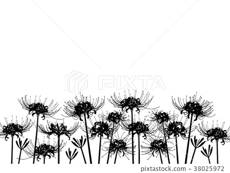 Background material _ cluster amaryllis (silhouette) 38025972