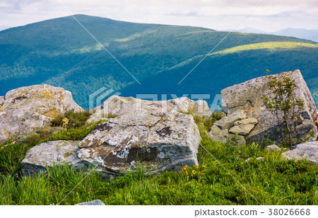 giant boulders on grassy slopes of Polonina Runa 38026668