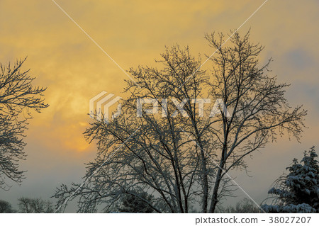 Sunny morning. Sun illuminate snowflakes.  38027207