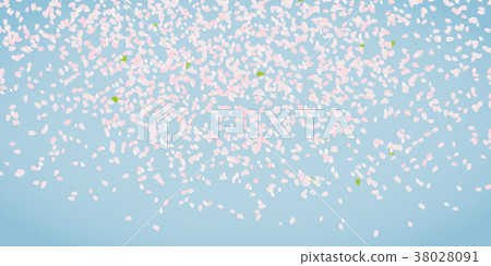 Blooming cherry blossom petals. Frame for text. Blooming cherry blossom petals. Frame for text. 38028091
