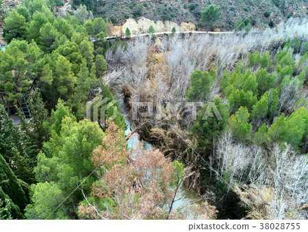 Region of Murcia Region of Murcia 38028755