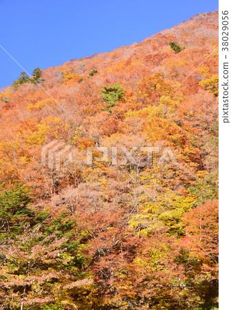 Autumn scenery from Misaka Pass-27369 Autumn scenery from Misaka Pass-27369 38029056