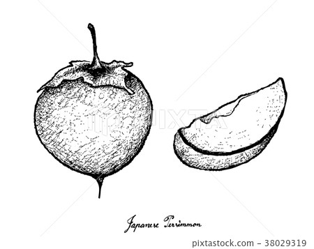 Kaki or Japanese Persimmon on White Background 38029319