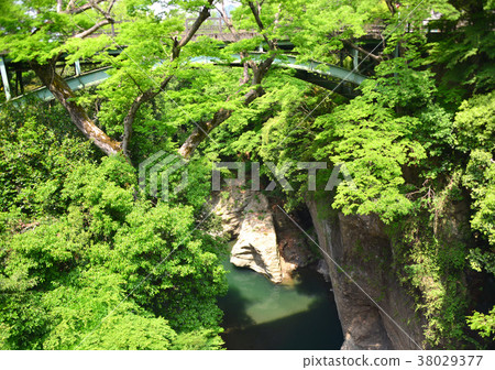 Katsura River Valley from Saruhashi-27258 38029377