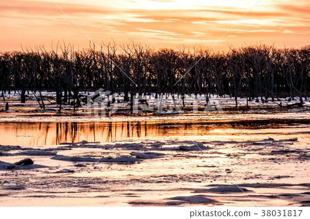 Sunset over the deep winter Narlawala 38031817