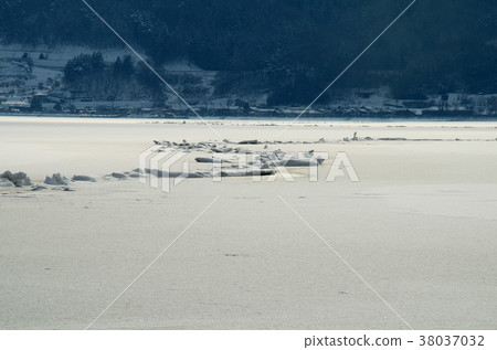 眾神逾越節Su訪湖 眾神逾越節Su訪湖 38037032