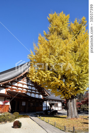 Kokeizan Eihoji Temple Kokeizan Eihoji Temple 38037399