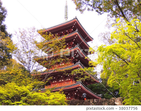 The Five-storied Pagoda of Takeshinji Temple The Five-storied Pagoda of Takeshinji Temple 38037756