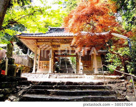 第十六屆Seiryu-ji寺門 38037804