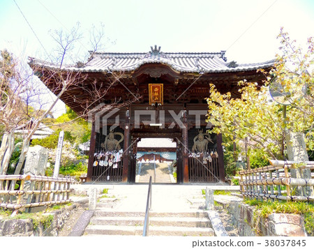 第49屆Jodo Temple Sanmon 38037845