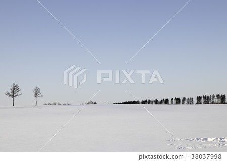 從童話山上看到的雪地毯和落葉松 38037998