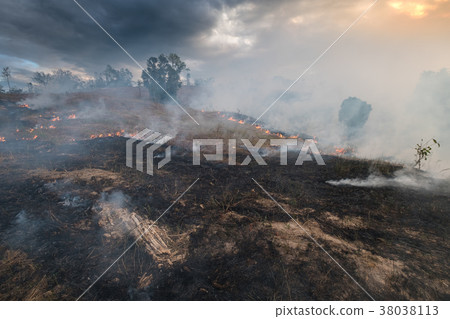 Bushfire, Burned black land on hill in Australia 38038113