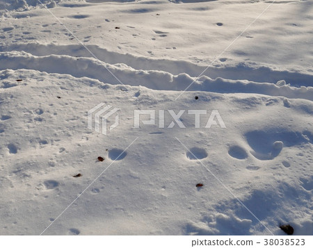 Snow and shadows 38038523