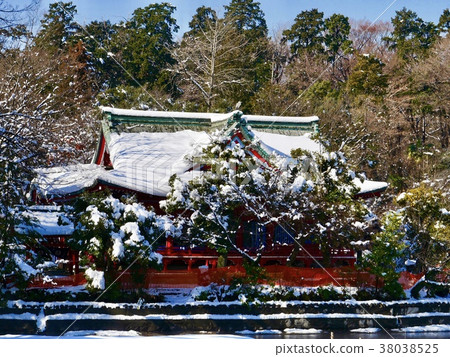 Inokashira Park Snow Benten 38038525