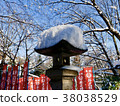 Inokashira Park Snow Benten 38038529