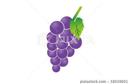 Grape illustration Grape illustration 38038601