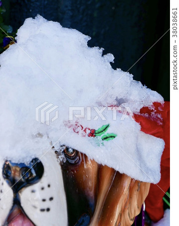 Snow and watchdog 38038661