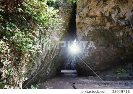 Saiba Gyoen (Glittering Image) Saiba Gyoen (Glittering Image) 38039718