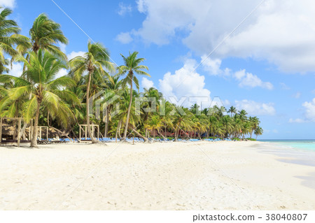 Vacation in Dominican Republic Vacation in Dominican Republic 38040807