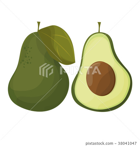 cartoon avocados. Whole and cut avocado isolated 38041047
