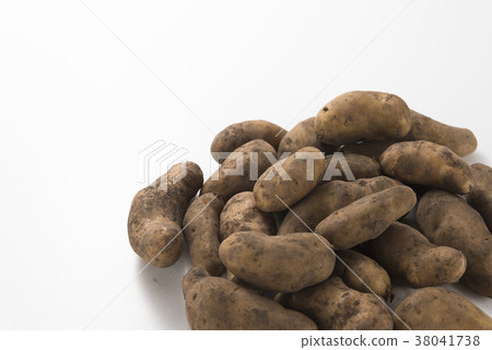 Potato Make-in Potato Make-in 38041738