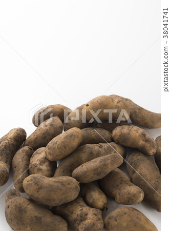 Potato Make-in 38041741