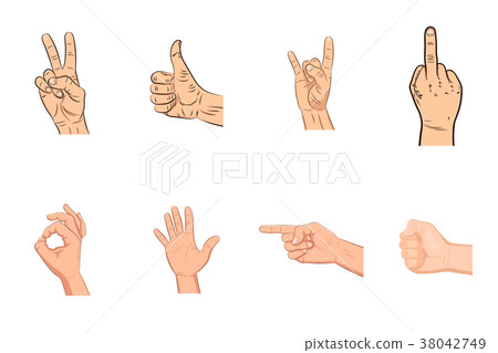 Set of realistic vector hands Set of realistic vector hands 38042749