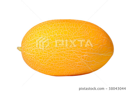 Melon 38043044