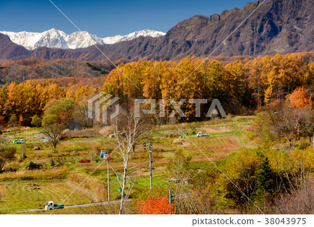 Togakushi和北阿爾卑斯山 38043975