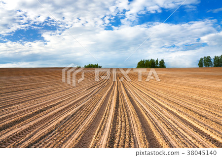 spring of landscape with ploughed field 38045140