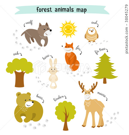 Forest animals vector map with animal footprints Forest animals vector map with animal footprints 38045279