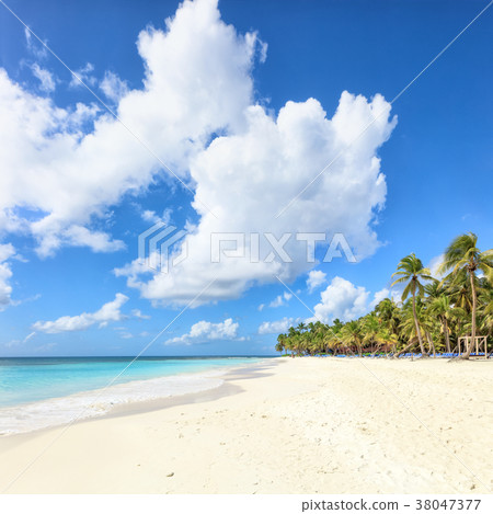 Vacation in Dominican Republic 38047377