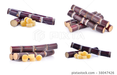 Sugarcane isolated on white background Sugarcane isolated on white background 38047426