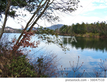 Minaga水源 38047510