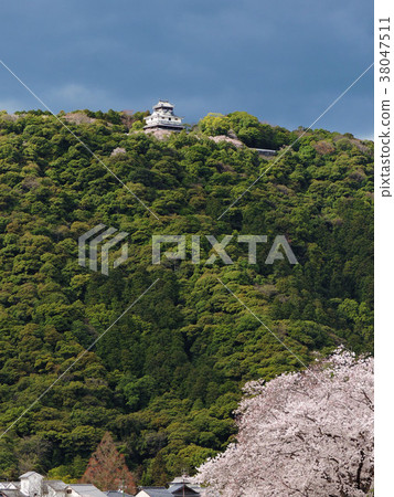 Iwakuni Castle 38047511
