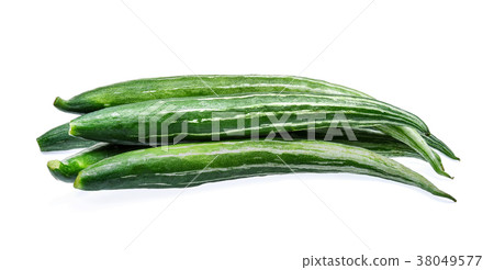 Snake gourd isolated on white background Snake gourd isolated on white background 38049577