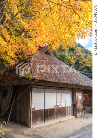 Kumano Kodo Road Tree Tea House 38049670