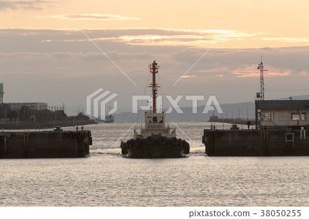 Maike Porter Tug boat returning to port, 38050255