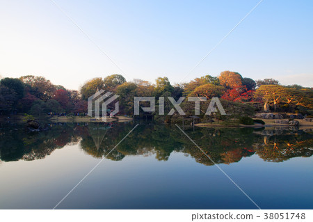 Autumn leaves and blue sky in Rikugien 38051748