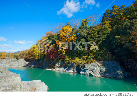 Nagahagi's autumn leaves and Nagahagi line down Nagahagi's autumn leaves and Nagahagi line down 38051753