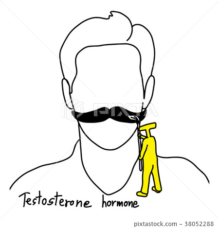 function of testosterone is to grow facial hair 38052288